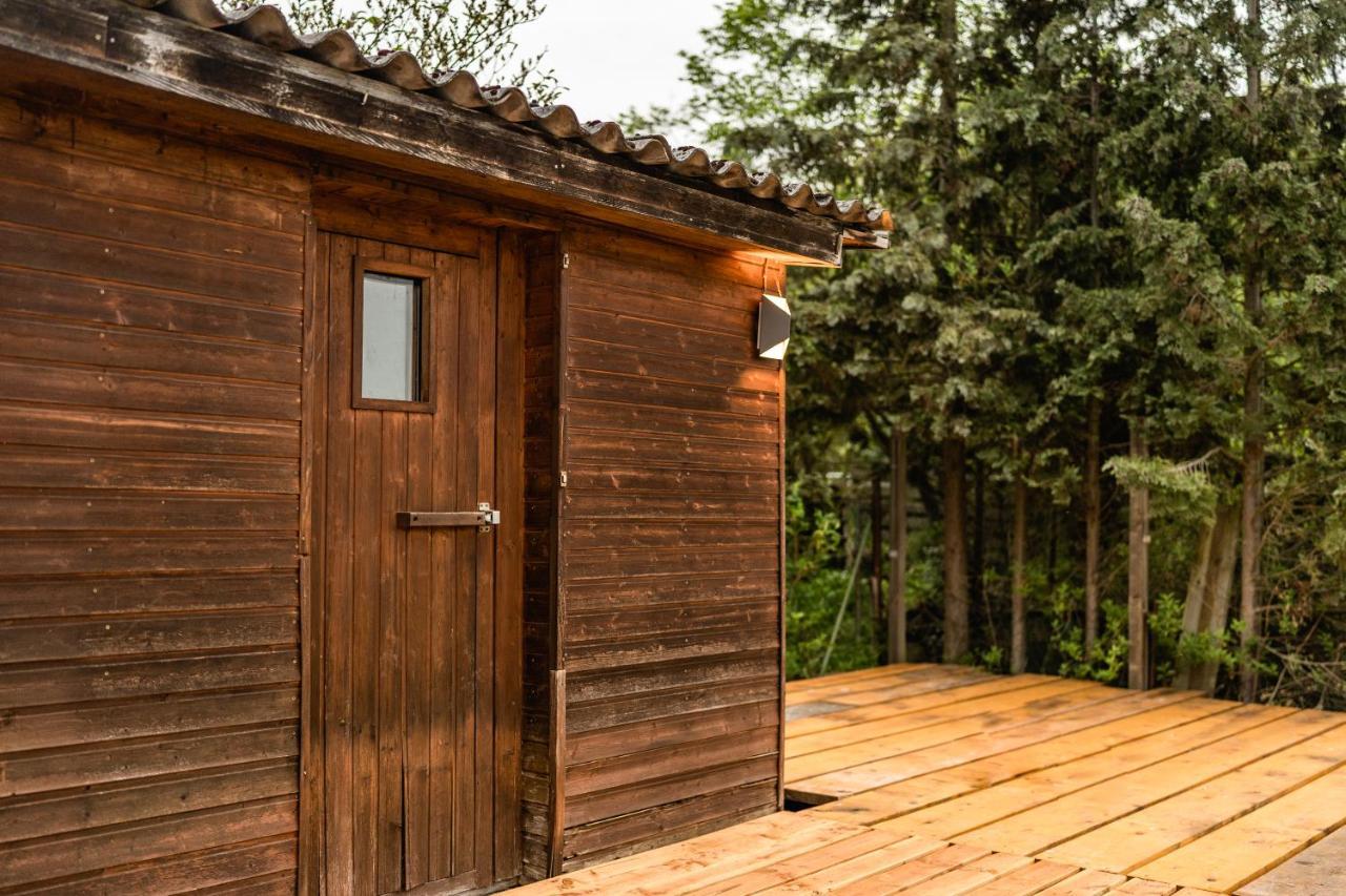 Die Entspannendste Wohnung Am Edersee - Spa Sauna Edertal Exterior photo